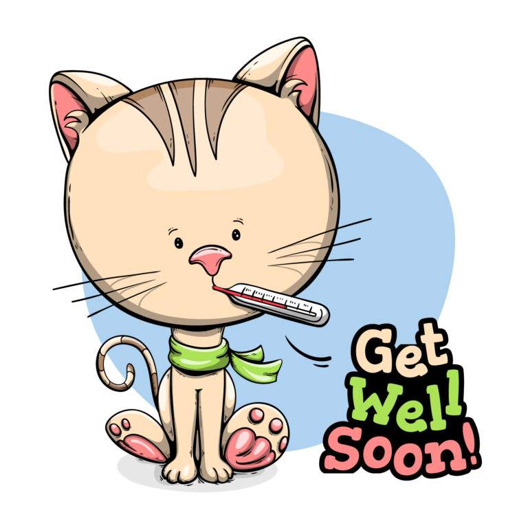 Sick cat which Get well soon! writing on its right