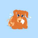 Sick Dog in blue background