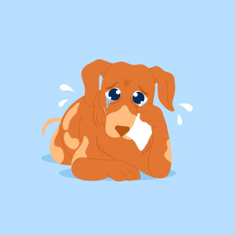 Sick Dog in blue background