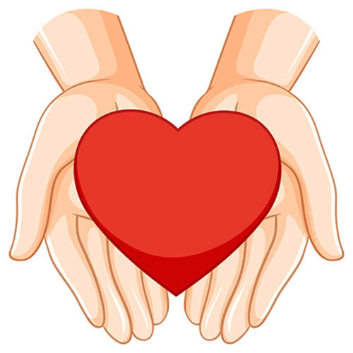 Heart on human hands