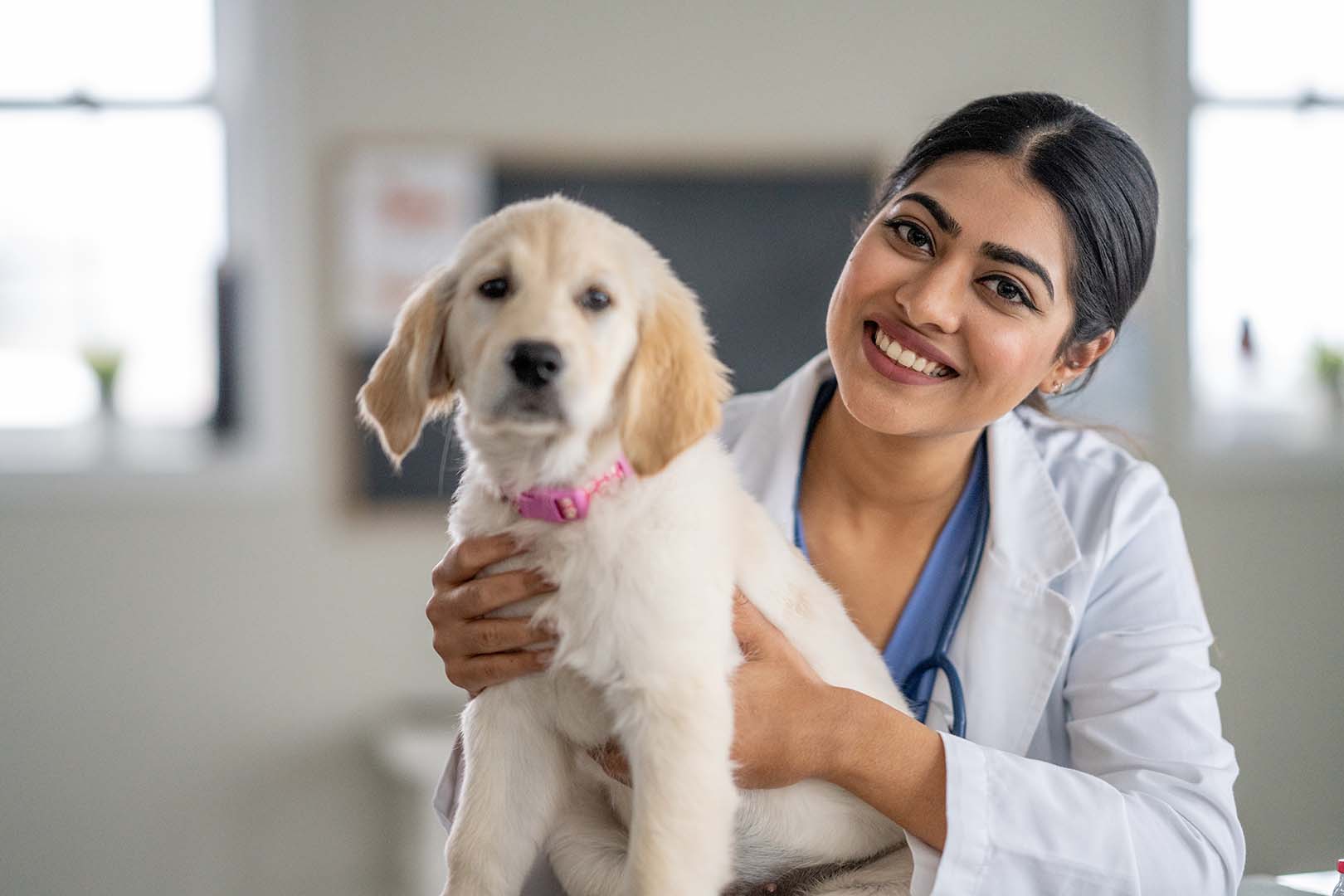Trusted veterinarian from Pet Clinic near me